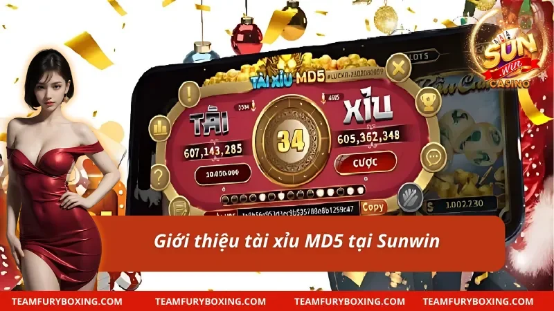 Tài xỉu MD5 và những dữ liệu đáng chú ý