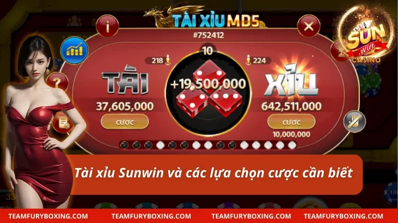 Tài xỉu MD5 và những phân loại cược quan trọng