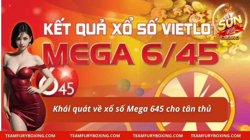 Những thông tin chính xoay quanh Xổ số Mega 645