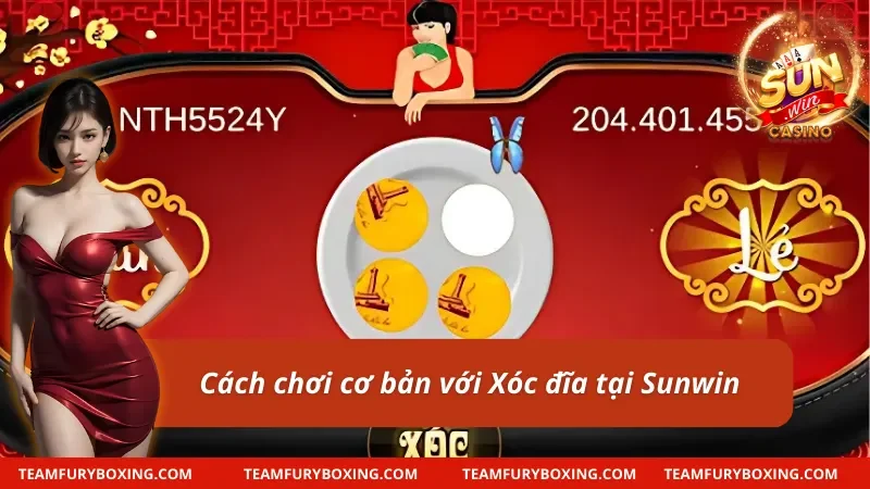 Tham gia xóc đĩa Sunwin đơn giản với 5 bước